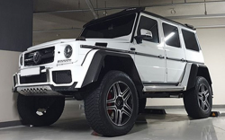 Mercedes-Benz G-Klasse 463